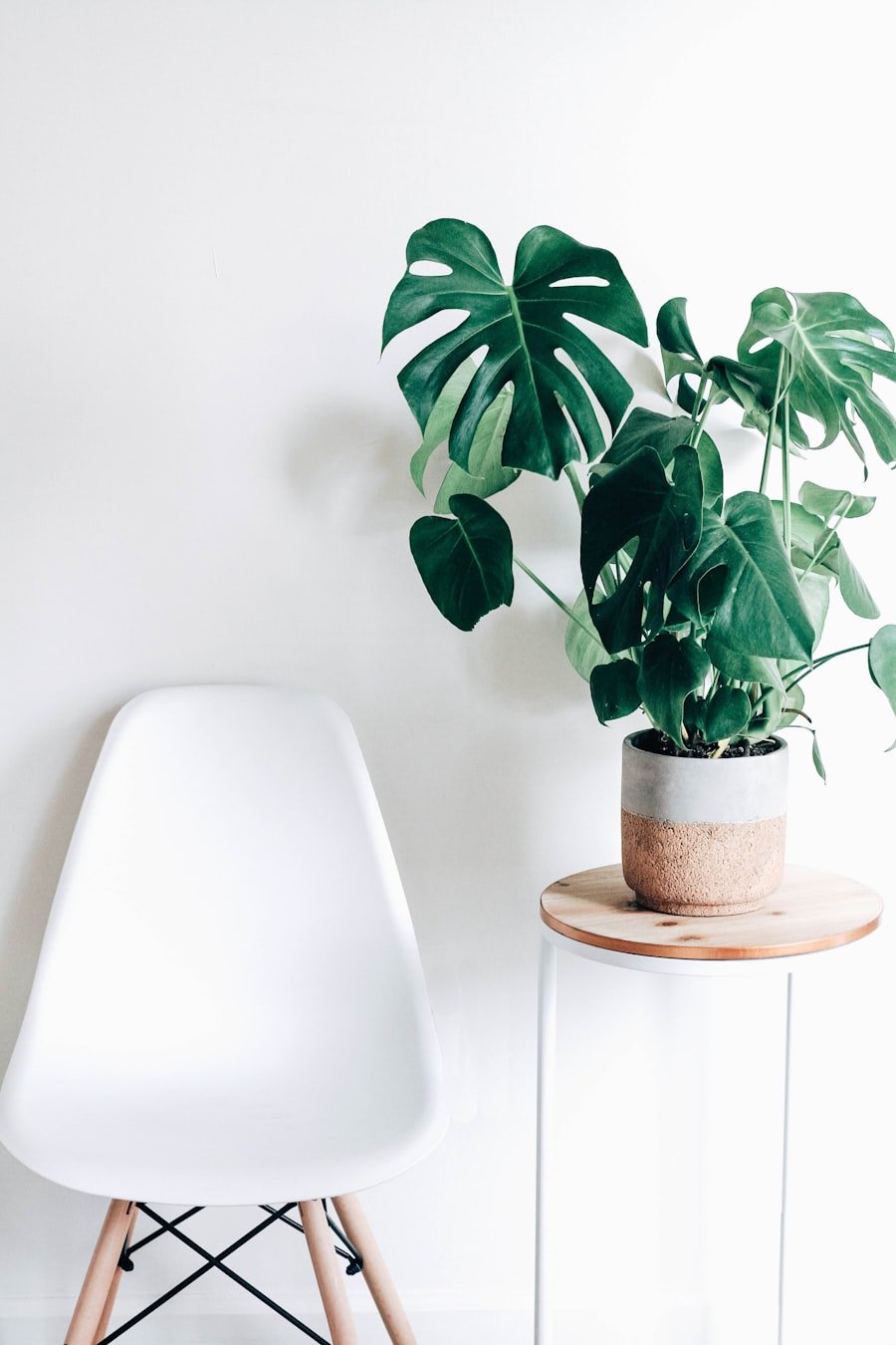 Tropical foliage ready to ship